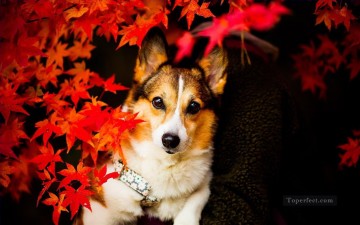 From Photos Realistic Painting - Dog behind Red Maple Leaves Painting from Photos to Art